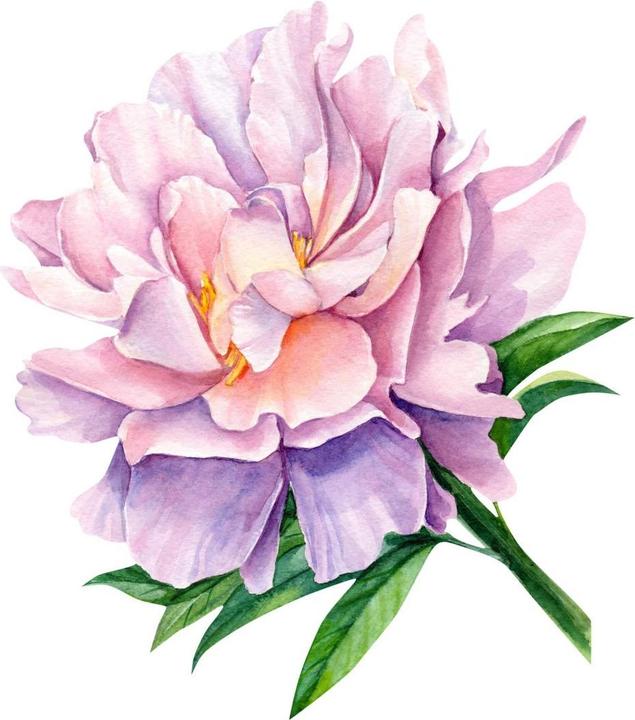 Produktbild Trenddeko Pfingstrose XXL (54 x 60 cm)