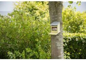 Produktbild Trixie Futterstation für Eichhörnchen