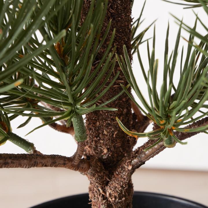 Actual product image Boltze Home Decoration tree (68 cm)