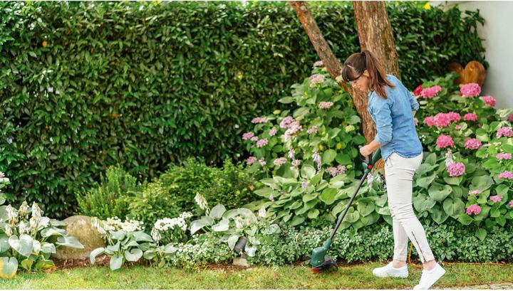 Image du produit Bosch Home & Garden Easy Grass Cut 23 (Couteaux en plastique)