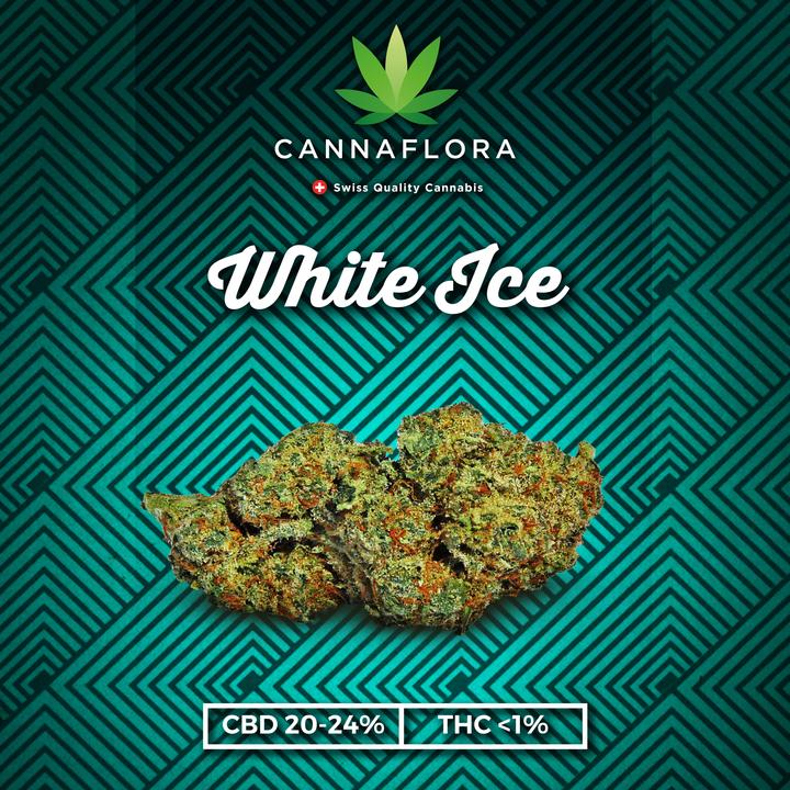 Image du produit Cannaflora glace blanche (6.50 g, Intérieur)