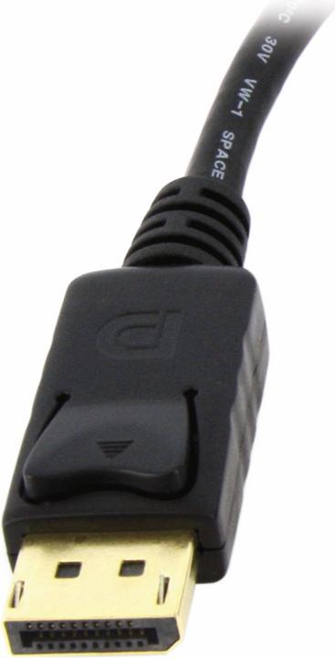 Actual product image StarTech DisplayPort closed (DVI, 25.40 cm)