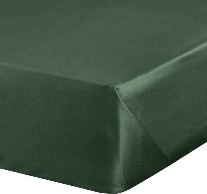 Vert foncé