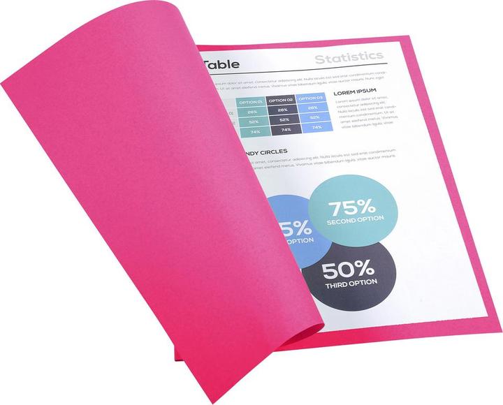 Immagine prodotto Exacompta Scrapbook - Copertine di file (24 x 32 cm, 100 x)