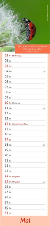Image du produit times&moreTagevollerGlückLangplaner2026 (11 x 49 cm, Allemand)