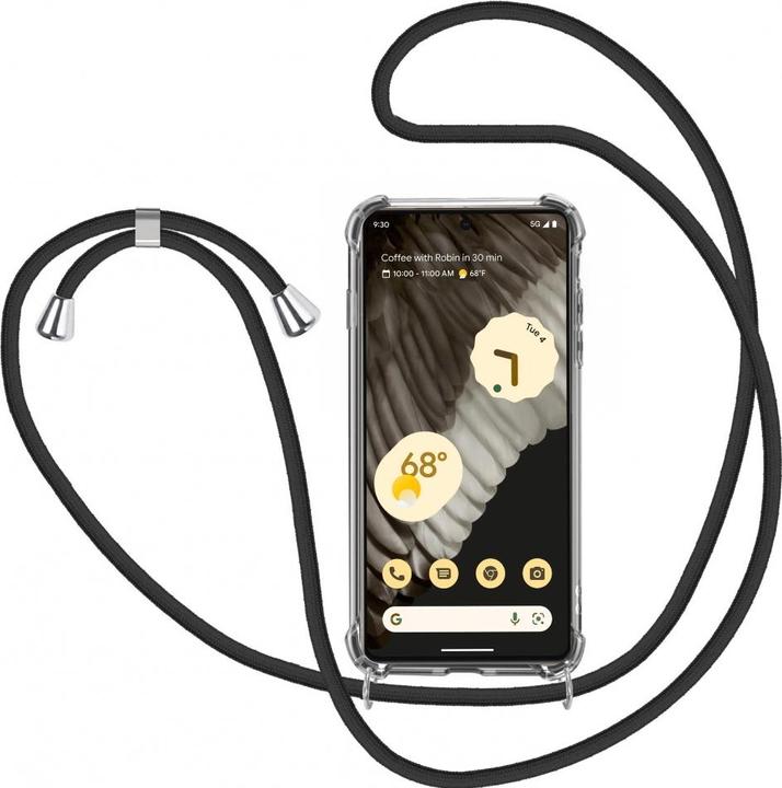 Screenguard Pro Loopster