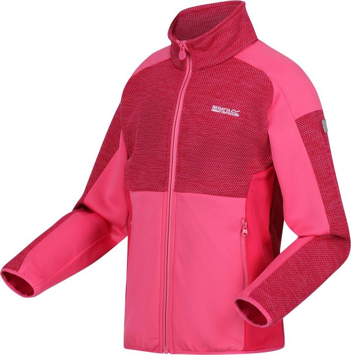 Actual product image Regatta Childrens/Kids Highton III Fleece Jacket (158)
