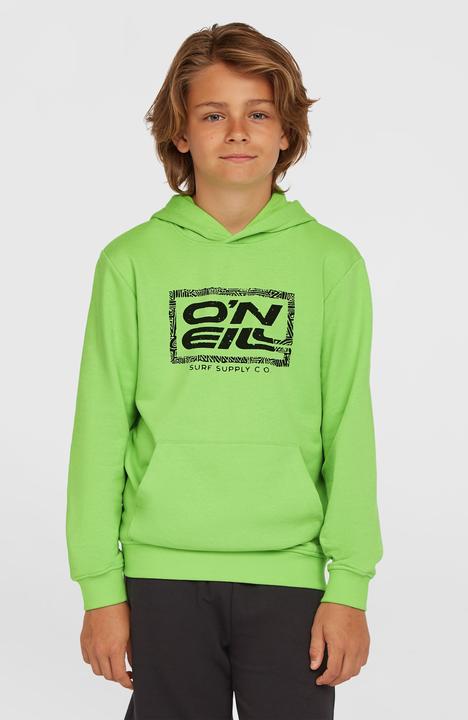 Produktbild O'Neill Logo Hoodie (152)