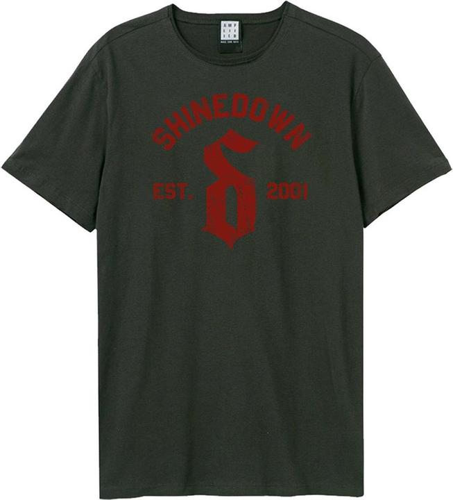 Amplified 2001 TShirt (3XL)