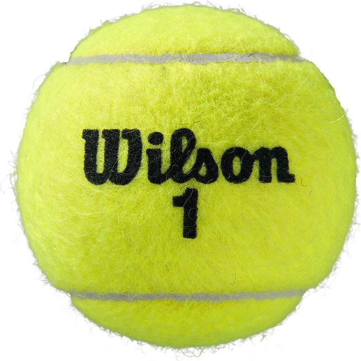 Actual product image Wilson Roland Garros All Ct 4ball 2pk