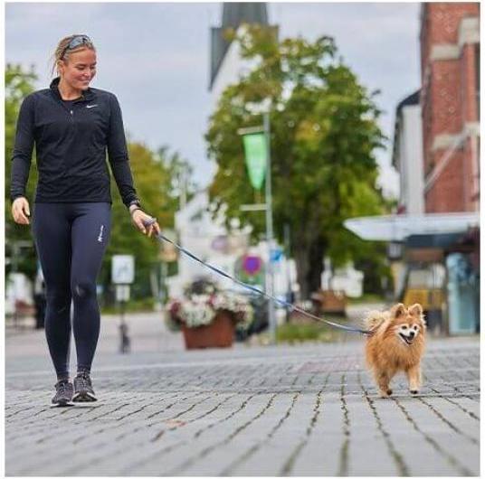 Produktbild Non-Stop Dogwear Move leash 15mm (L, Hund, Allgemein)
