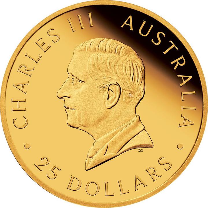 Actual product image The Perth Mint Gold Sovereign PP - Perth Mint 2025 (917, 2025)