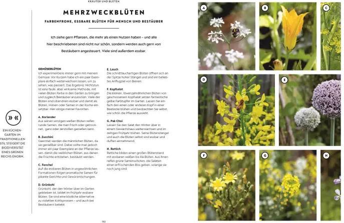 Produktbild Mein Gemüsegarten (Deutsch, Huw Richards, 2023)