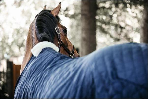 Produktbild Kentucky Horsewear Stalldecke 0g (130 cm)