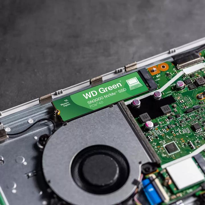 Immagine prodotto WD Green SN3000 (500 GB, M.2 2280)