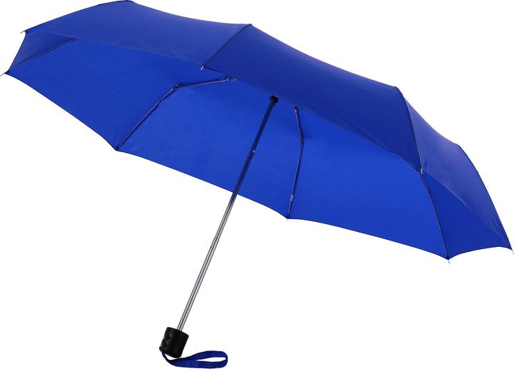 Bleu roi