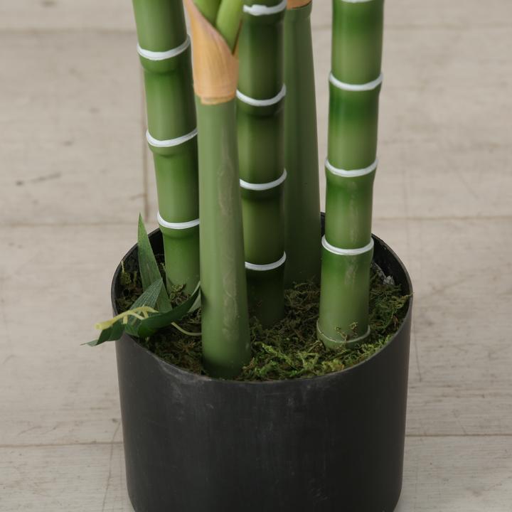 Actual product image Boltze Home Potted plant (165 cm)