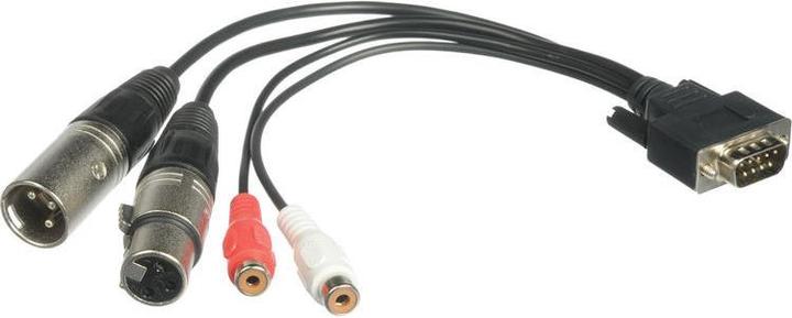 Actual product image RME Audio Breakout cable (0.20 m, Cinch, XLR)