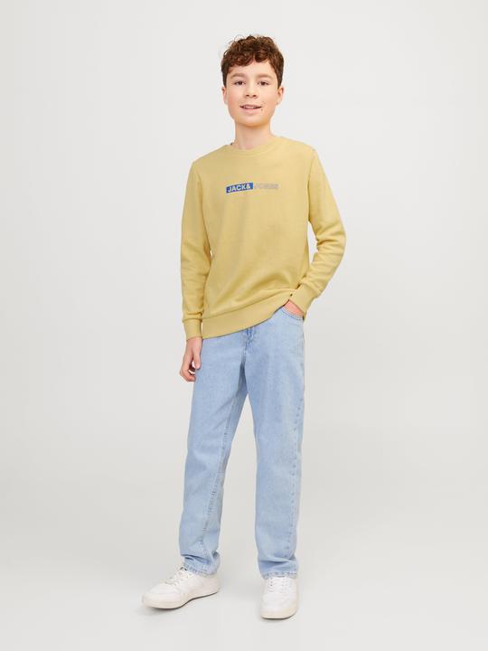 Immagine prodotto Jack & Jones Felpa stampata con collo rotondo Per i ragazzi Felpa con collo rotondo (176)