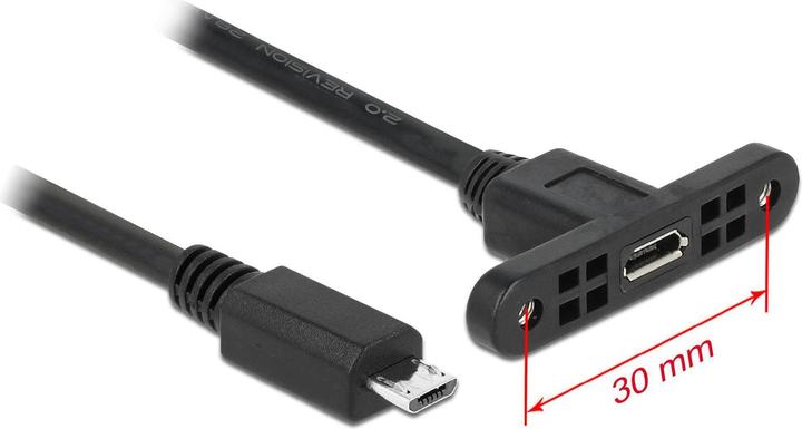 Delock Micro-USB B - Micro-USB B (0.25 m, USB 2.0)