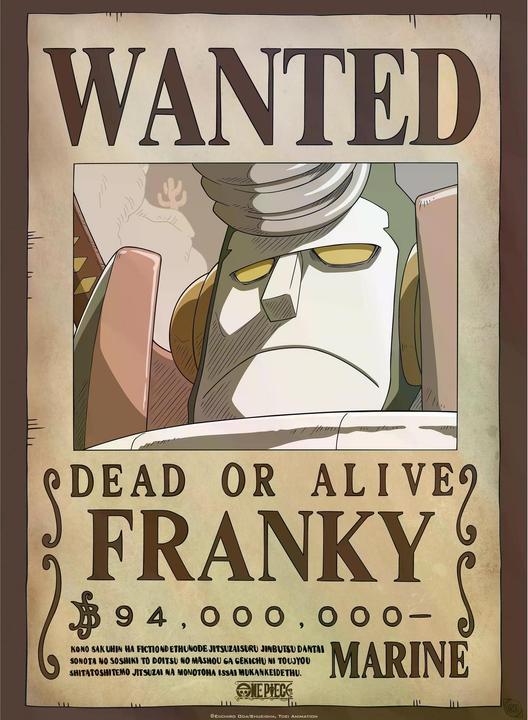 Actual product image GB Eye One Piece - Franky & Usopp (52 x 38 cm)