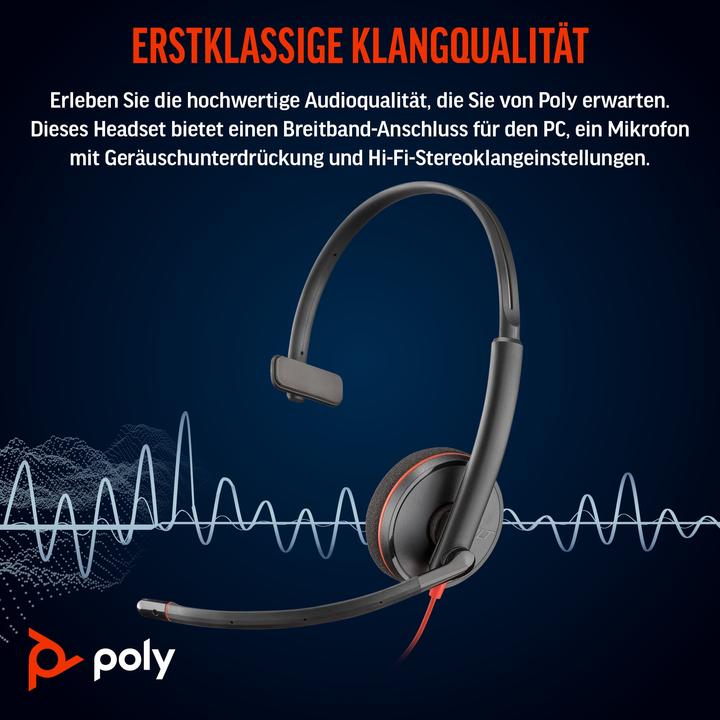 Actual product image Poly BW 3210 USB-C HS +USB-C/A (Cable, USB-A)