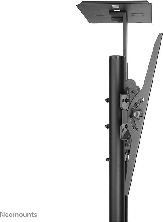 Actual product image Neomounts Plasma M1700E (Universal, 55", 35 kg)