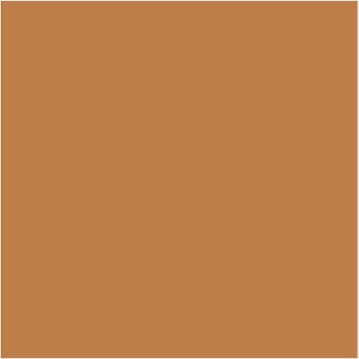 Actual product image Mesauda Face - The Skin Moisturising Foundation C55 (C55)