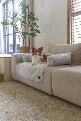 Image du produit Designed by Lotte Coussin de canapé Ribbed (Chien)