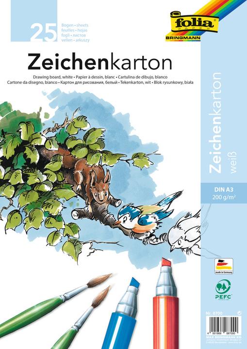 Folia Zeichenkarton (200 g/m², 25 x)