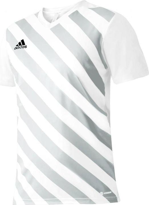 Produktbild adidas Entrada 22 Graphic Fussballtrikot Herren (XXL)