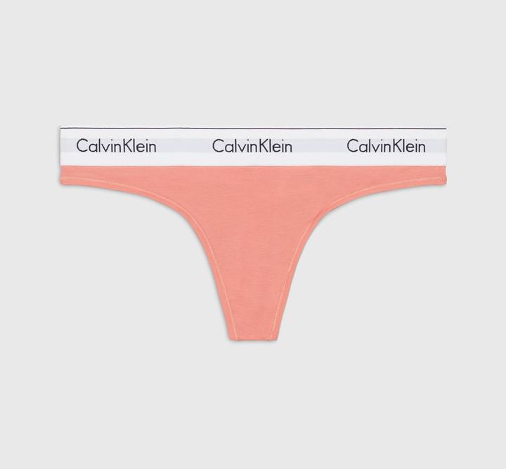 Actual product image Calvin Klein Ladies' thong panties (M)