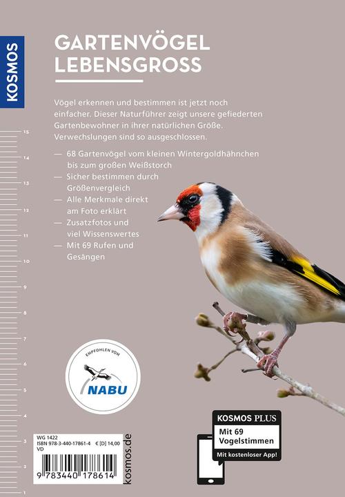 Produktbild Kosmos Gartenvögel lebensgross (Deutsch, Daniela Strauß, 2024)