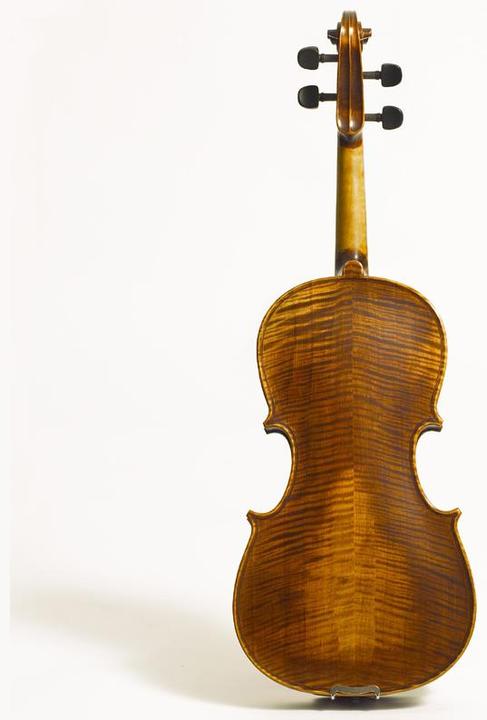Actual product image Stentor Arcadia (Viola, 4/4)