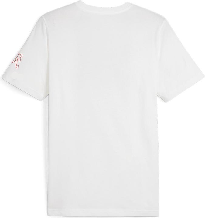 Immagine prodotto Puma Maglietta SFV Ftblicons (3XL)