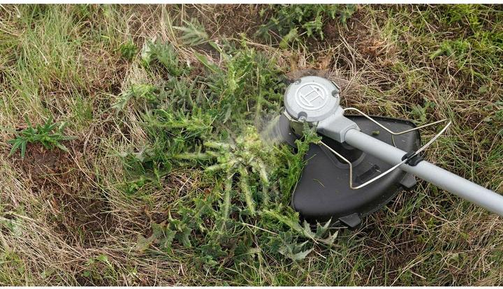 Image du produit Bosch Home & Garden AdvancedBrushCut 36V-23-750 (Fils coupe-herbe)