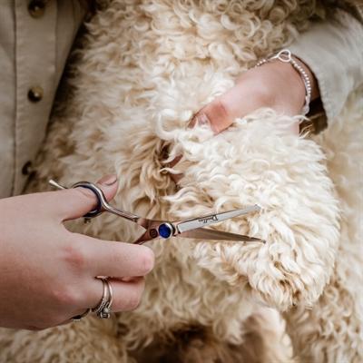 Produktbild Mikki Doodle Schaar Voor Kop En Poten - 14 Cm (Hund)