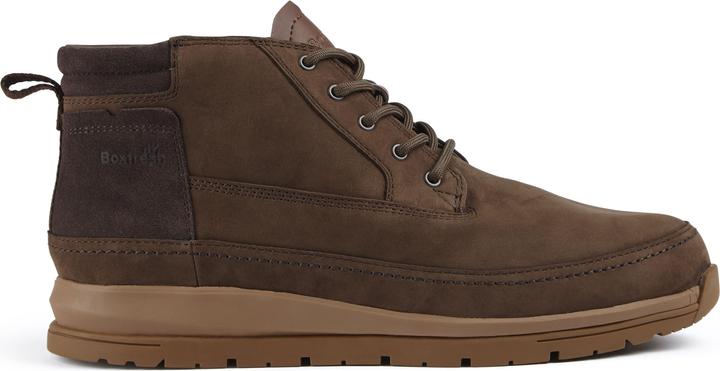 Boxfresh Cryser (42)