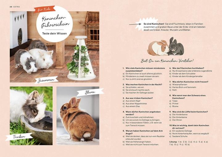 Produktbild Kosmos Zwergkaninchen (Deutsch, Viola Schillinger, 2023)