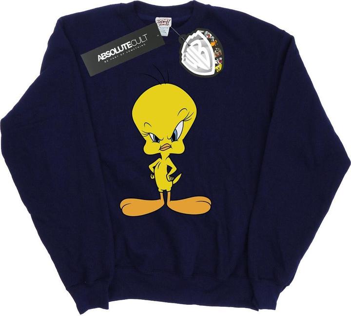 Produktbild Looney Tunes Sweatshirt Mädchen (152, 158)