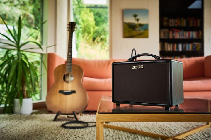 Actual product image BOSS AC- amplificatore acustico 22LX (Guitar, 10 W)