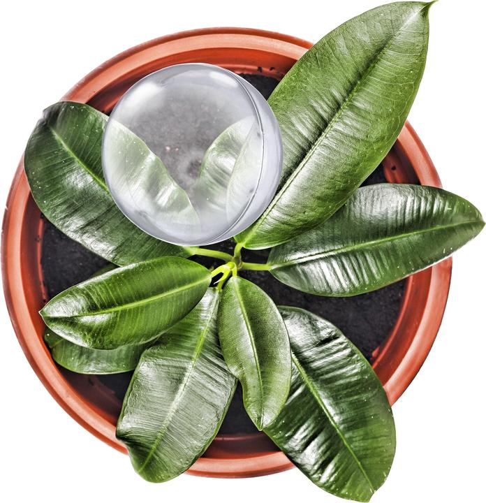 Produktbild Relaxdays 5x Bewässerungskugel (Bewässerungskugeln)
