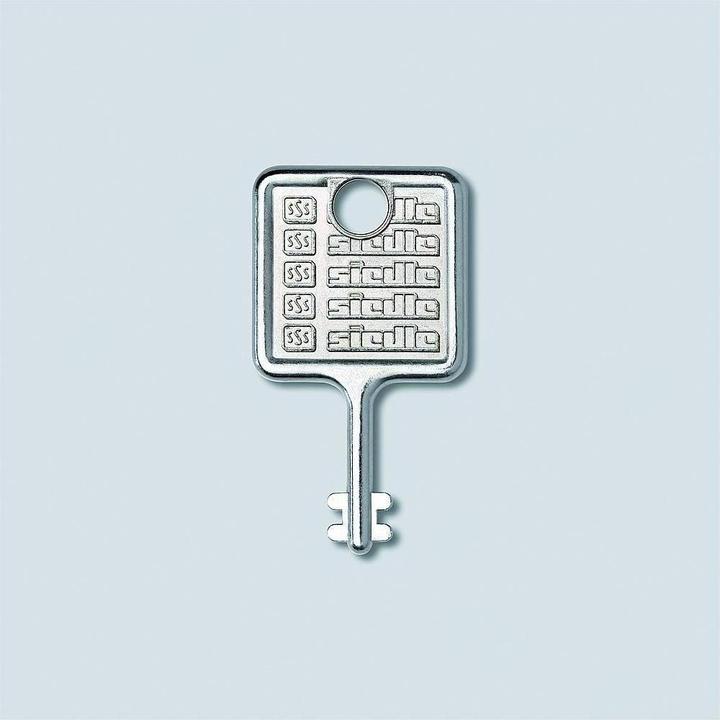 Actual product image Siedle Key