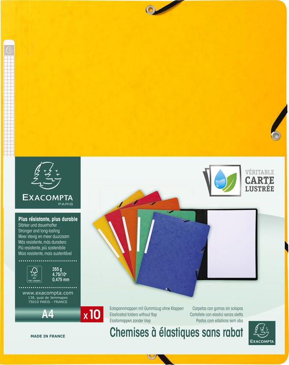 Actual product image Exacompta Collection folder with elastic band (A4, 1 x)