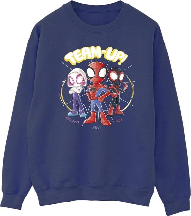 Spidey And His Amazing Friends Sketch Sweatshirt (XL)
