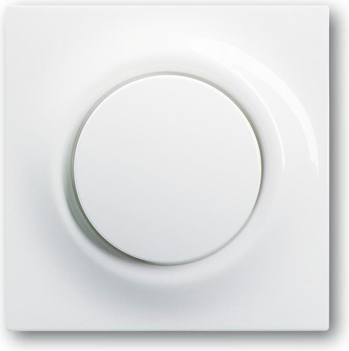 Busch-Jaeger Central disk