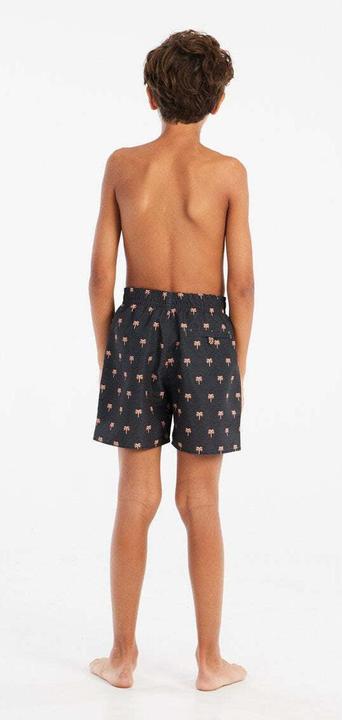 Actual product image Protest Swim shorts PRTSteven JR beachshort (164)