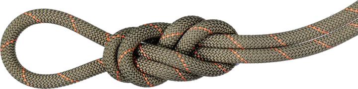 Mammut 9.9 Gym Workhorse Classic (50 m)