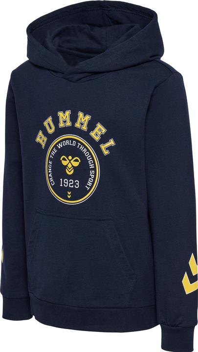 Image du produit hummel Hoodie De Géographie (110)