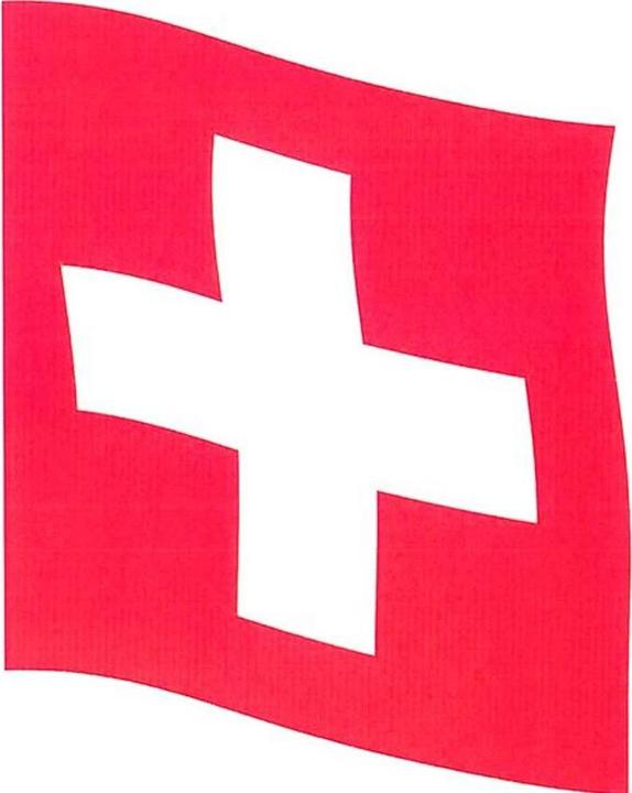 Schweizerfahne Hissfahne